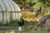223 Main Road, Meander, Tas 7304-Image