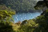 223 McCarrs Creek Road, Church Point, NSW 2105-Image