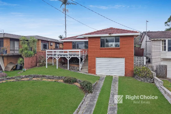 223 Reddall Parade, Mount Warrigal, NSW 2528