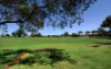 223 St Brigids Terrace, Doubleview, WA 6018-Image
