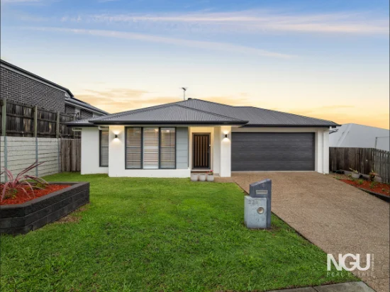 224 Dublin Avenue, Spring Mountain, Qld 4300