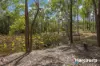 224 RAINBOWS ROAD, South Isis, Qld 4660-Image