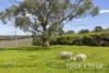 225 Berry Road, Jupiter Creek, SA 5153-Image