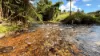 225 Jackson Road, Shell Pocket, Qld 4855-Image
