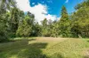 225 Jackson Road, Shell Pocket, Qld 4855-Image