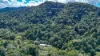 225 Jackson Road, Shell Pocket, Qld 4855-Image
