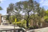225 Lilyfield Road, Lilyfield, NSW 2040-Image