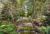 225 to 241 Pryor Road, Verrierdale, Qld 4562-Image