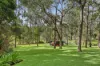 225 Wappa Falls Road, Yandina, Qld 4561-Image