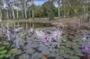 225 Wappa Falls Road, Yandina, Qld 4561-Image
