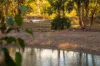 225 Zabels Road North, Minden, Qld 4311-Image