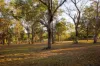 225 Zabels Road North, Minden, Qld 4311-Image