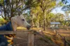 225 Zabels Road North, Minden, Qld 4311-Image