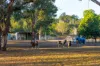 225 Zabels Road North, Minden, Qld 4311-Image