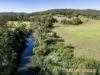 2252 Taylors Arm Rd, Taylors Arm, NSW 2447-Image