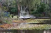 226 Blackwood Road, Trentham, Vic 3458-Image