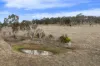 226 Blanch Road, Armidale, NSW 2350-Image