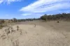226 Blanch Road, Armidale, NSW 2350-Image