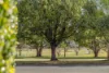 226 Mackenzie Street, Rangeville, Qld 4350-Image