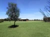 226 Riverside Drive, Narrabri, NSW 2390-Image