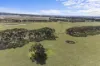 226 Wilsons Road, Haddon, Vic 3351-Image