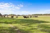 226 Wilsons Road, Haddon, Vic 3351-Image