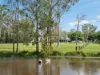 227-237 Scurr Road, Wamuran, Qld 4512-Image