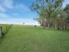227-237 Scurr Road, Wamuran, Qld 4512-Image