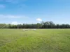 227-237 Scurr Road, Wamuran, Qld 4512-Image