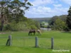 227 Mcmahons Road, North Nowra, NSW 2541-Image