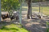 228 Caves Road, Naracoorte, SA 5271-Image