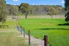 228 Caves Road, Naracoorte, SA 5271-Image