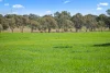 228 Caves Road, Naracoorte, SA 5271-Image