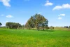 228 Caves Road, Naracoorte, SA 5271-Image