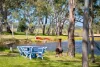 228 Caves Road, Naracoorte, SA 5271-Image