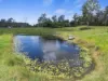228 Eel Creek Road, Southside, Qld 4570-Image