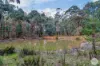2280 Glenelg Highway, Scarsdale, Vic 3351-Image
