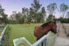 2283 Beaudesert Beenleigh Road, Tamborine, Qld 4270-Image