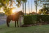 229 Branch Creek Road, Dalby, Qld 4405-Image