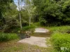 229 Midginbil Road, Midginbil, NSW 2484-Image
