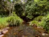 229 Midginbil Road, Midginbil, NSW 2484-Image
