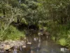 229 Midginbil Road, Midginbil, NSW 2484-Image