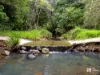 229 Midginbil Road, Midginbil, NSW 2484-Image