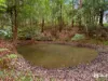 229 Midginbil Road, Midginbil, NSW 2484-Image