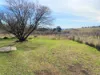 229 Nancarrow Lane, Nashdale, NSW 2800-Image