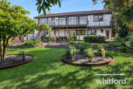 229 Noble Street, Newtown, Vic 3220