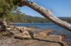 229 Safety Cove Road, Port Arthur, Tas 7182-Image