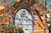 22A High Street, Epping, NSW 2121-Image