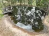 23-37  Virginia Way, Logan Village, Qld 4207-Image