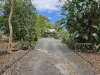 23-37  Virginia Way, Logan Village, Qld 4207-Image